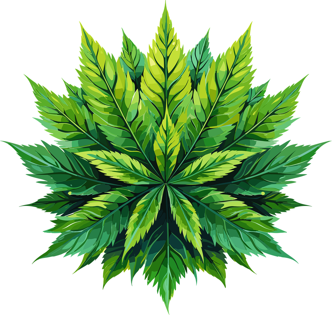 ai generated, flower, marijuana-8123335.jpg