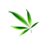 leaf, marijuana, weed-1300206.jpg