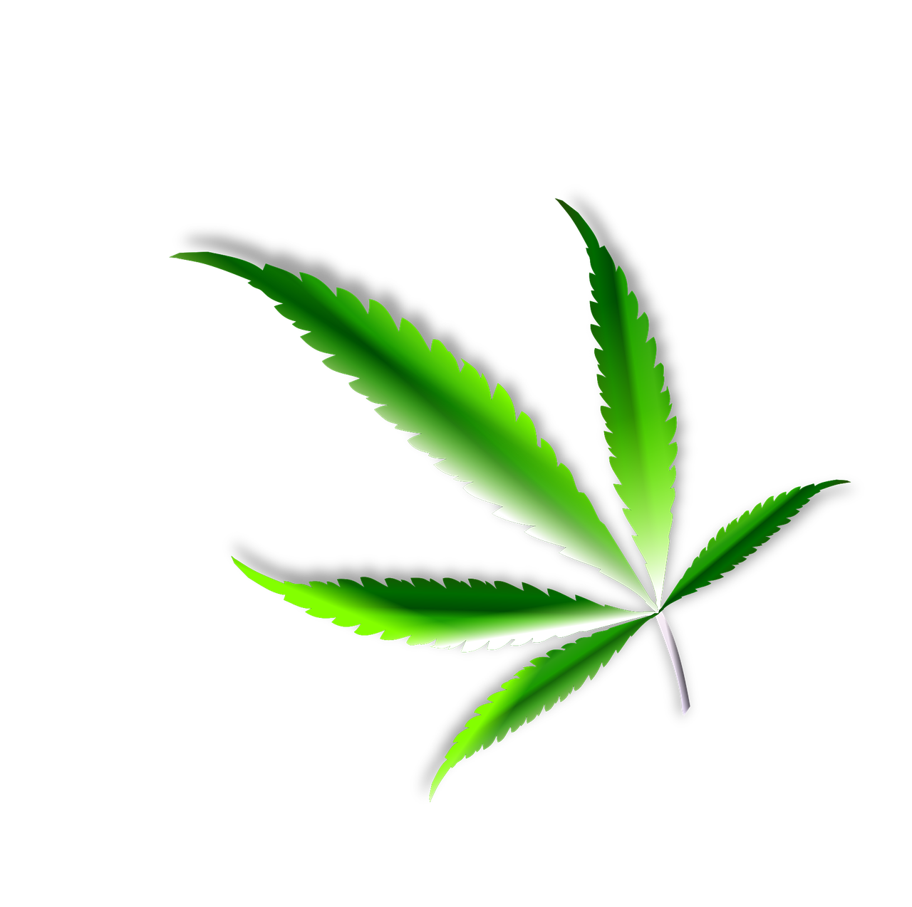 leaf, marijuana, weed-1300206.jpg