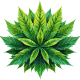 ai generated, flower, marijuana-8123335.jpg